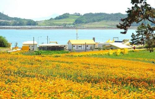 신안 선도[신안군 제공=연합뉴스]