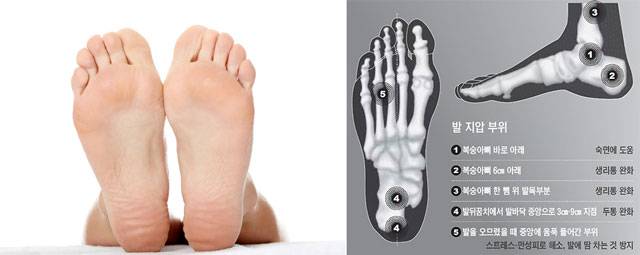 발마사지를 통해 여름 건강을 지킬 수 있다./사진=클립아트코리아, 조선 DB