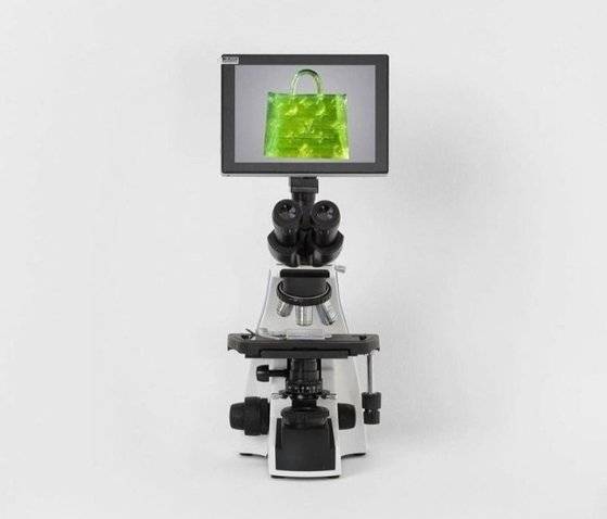 사진 미스치프 소셜미디어 캡처