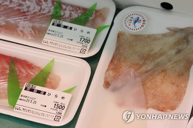 후쿠시마현의 오나하마항 수산물 시장의 광어와 오징어 (후쿠시마=연합뉴스) 박상현 특파원 = 일본 후쿠시마현 이와키시 오나하마항 수산물 시장에서 지난달 24일 판매 중인 광어와 오징어. 이 항구는 일본 정부가 올여름 오염수 방류를 시작할 후쿠시마 제1원자력발전소에서 55㎞ 정도 떨어져 있다.2023.6.25.