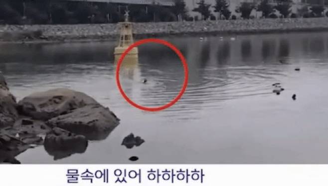 (사진=MBC 화면 캡처)