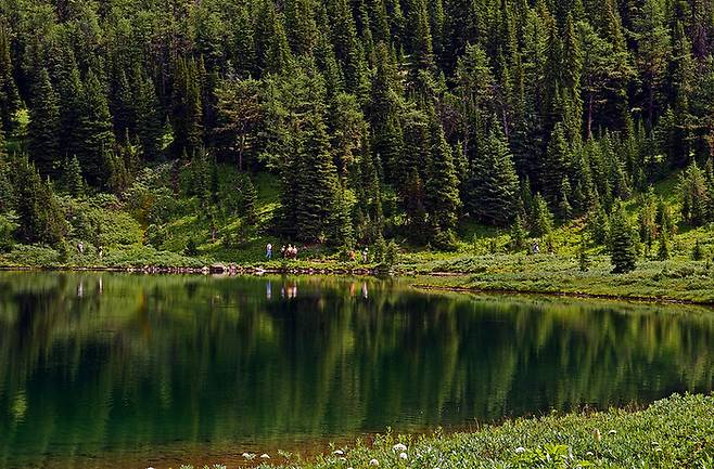 캐나다 밴프국립공원 선샤인 메도우 / 사진 = 플리커