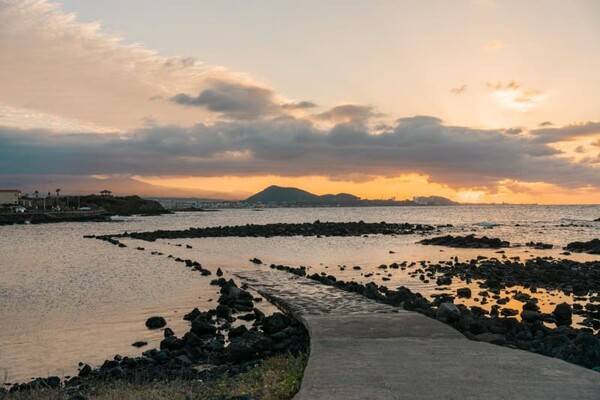 국내 돌고래 스팟 제주 관곶해안 / 온라인 커뮤니티