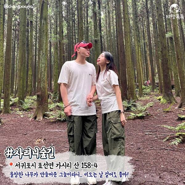 7월 제주 가볼만한 곳 / ⓒ여행톡톡 / 사진&nbsp;@changxxuya_&nbsp;