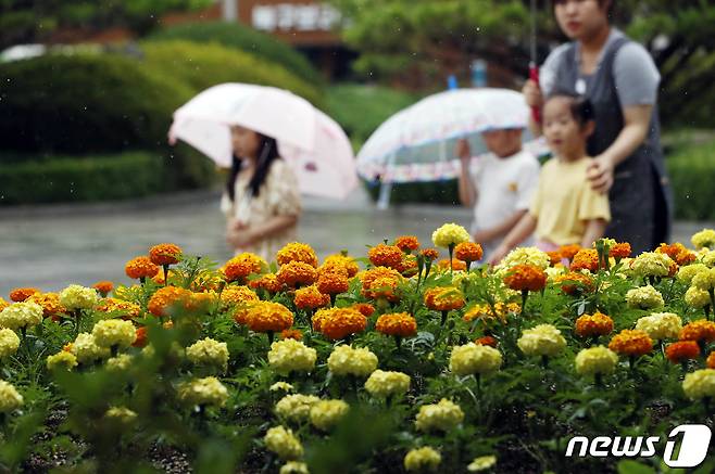 전국적으로 비가 내린 26일 광주 북구청직장어린이집 아이들이 우산을 쓰고 거리를 걷고 있다.(광주 북구 제공) 2023.6.26/뉴스1 ⓒ News1 이수민 기자