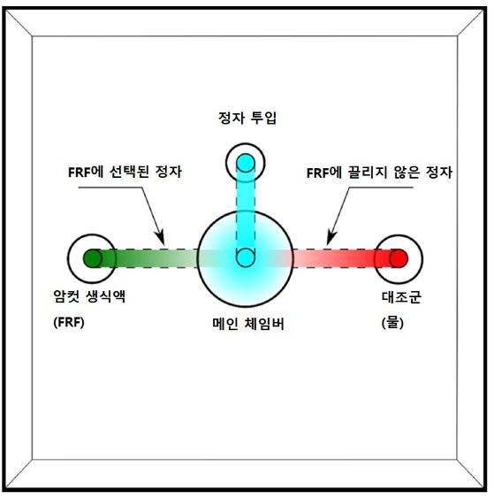 제브라피시 실험에 사용한 정자 선택 체임버. [자료: Cells, 2021]