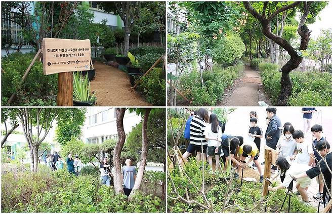 서울 풍납초등학교에 조성된 친환경 학교숲 [롯데홈쇼핑 제공. 재판매 및 DB 금지]