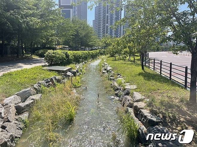 파주 운정호수공원 실개천 (파주시 제공)