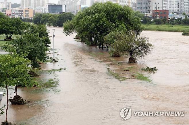 범람한 광주천 (광주=연합뉴스) 정다움 기자 = 호우특보가 발효된 28일 광주 북구 임동 광천2교 인근 광주천이 범람해 있다. 2023.6.28 daum@yna.co.kr