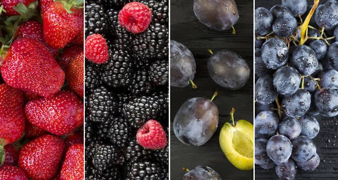 [사진=게티이미지뱅크]