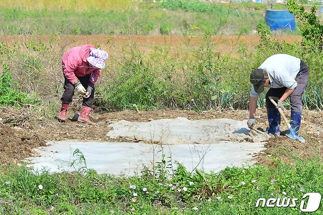 충북 괴산군이 쓰쓰가무시증, 중증열성혈소판감소증후군(SFTS) 등의 예방을 위해 진드기 물림 주의를 당부했다.(자료사진)/뉴스1