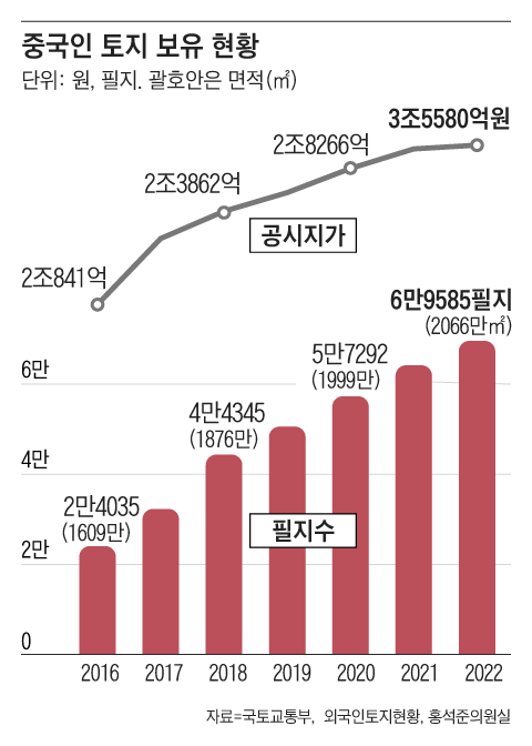 그래픽=조선디자인랩 정다운