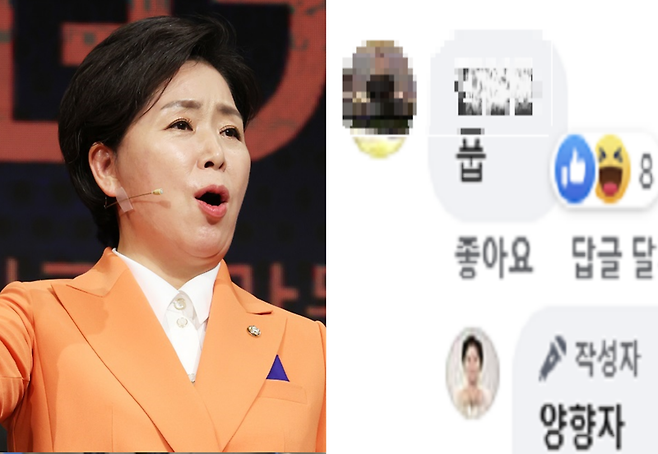 '한국의희망' 창당을 선언한 무소속 양향자 의원, 페이스북 댓글. / 사진 = 연합뉴스, 페이스북 캡처
