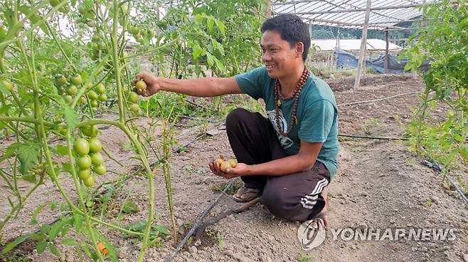 농업인으로 정착한 네팔 귀환 노동자 산트 바하두르 씨 (서울=연합뉴스) '코이카-UNDP 과일 및 채소 가치사슬 개발사업' 일환으로 진행된 귀환노동자 재정착 지원을 통해 유기농 농약 제조법, 수확 후 손실 관리, 농산물 판매 등 소득 증대 노하우를 배운 네팔인 산트 바하두르 씨. 2023.6.29 [코이카 제공. 재판매 및 DB 금지]