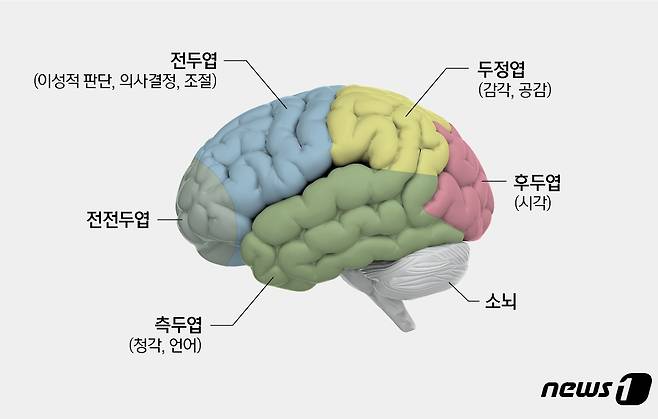 ⓒ News1 양혜림 디자이너