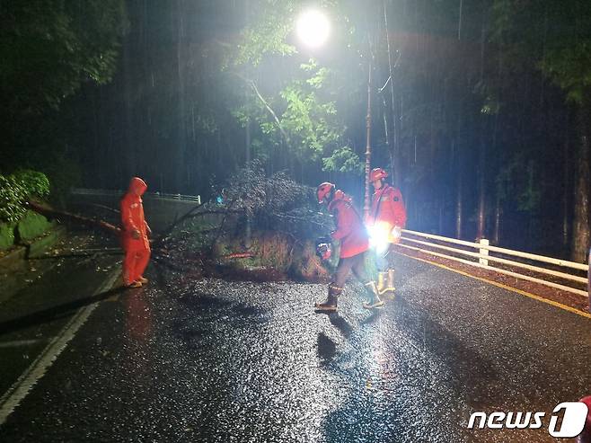 지난 27일 오후 11시쯤 진주시 판문동 한 도로에 나무가 쓰러져 소방이 안전조치를 하고 있는 모습.(경남소방본부 제공)