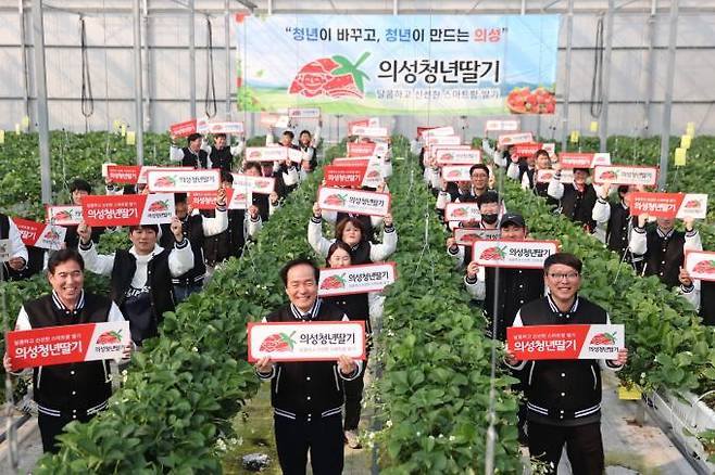 의성군이 청년농업인 스마트팜 딸기 아카데미 교육생을 모집한다. (의성군 제공) 2023.06.30