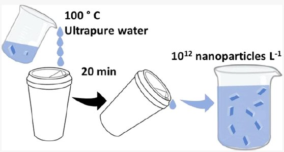 일회용컵에서도 나노플라스틱이 방출된다.