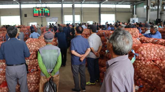 1일 경남 창녕농협 산지공판장에서 열린 올해 첫 건마늘 경매현장. 농민들이 경매 결과를 알리는 전광판을 뚫어지게 쳐다보고 있지만 경락값은 지난해에 비해 형편없이 낮게 나왔다.
