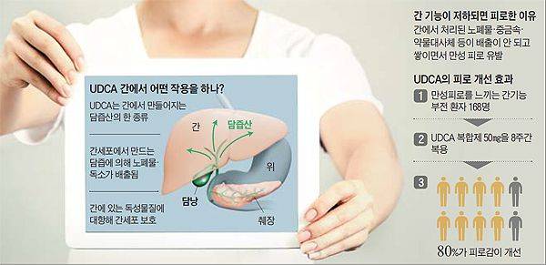 조선DB