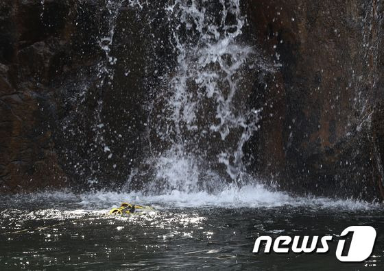 가평 용소계곡 일대 2022.4.4/뉴스1 (C) News1 (자료사진)