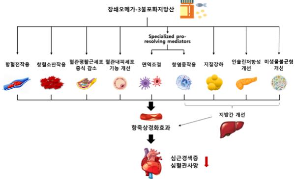 오메가3가 동맥경화증을 억제하고 심혈관위험을 낮추는 기전.[자료제공=분당서울대병원]