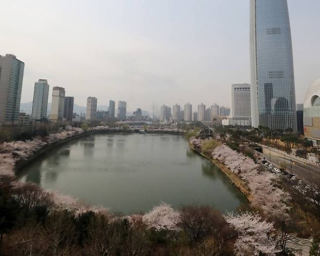 서울 송파구 석촌호수에서 여성 시신이 발견돼 경찰이 수사에 나섰다. 사진은 지난 3월28일 서울 송파구 석촌호수 벚꽃길 모습. /사진=뉴스1