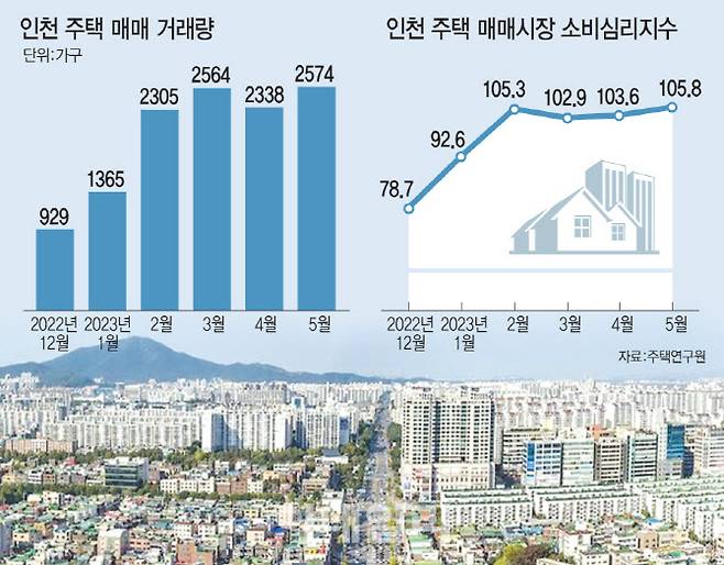 [그래픽=이데일리 문승용 기자]