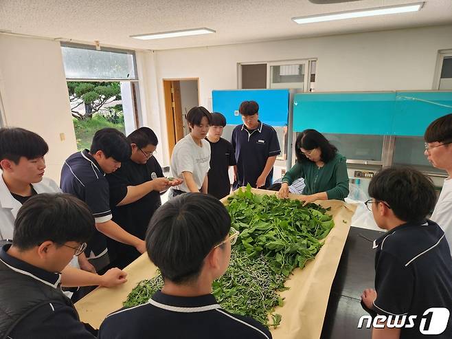 보은군 주최 양잠기술 전승 '잠시잠간' 교육 장면. (보은군 제공) /뉴스1