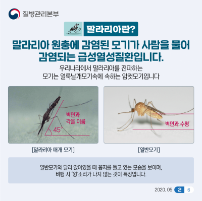 [사진출처=질병관리본부]