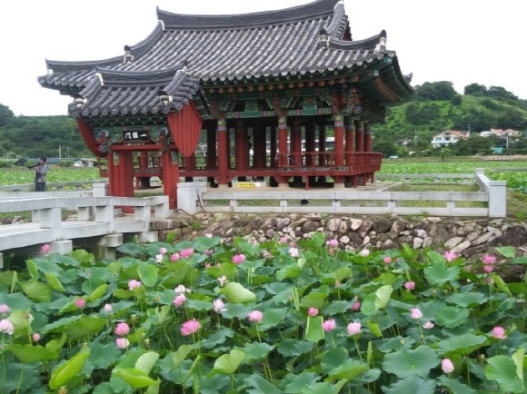 청도의 주요 관광지인 유등연지 전경. /사진=여행공방