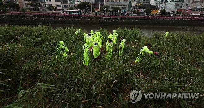 거제 영아 살해 유기 사건 시신 수색 (거제=연합뉴스) 김동민 기자 = 경찰이 4일 오후 경남 거제시 고현동 신현제1교 주변에서 '거제 영아 살해 유기 사건과 관련해 영아 시신을 수색하고 있다. 2023.7.4 image@yna.co.kr