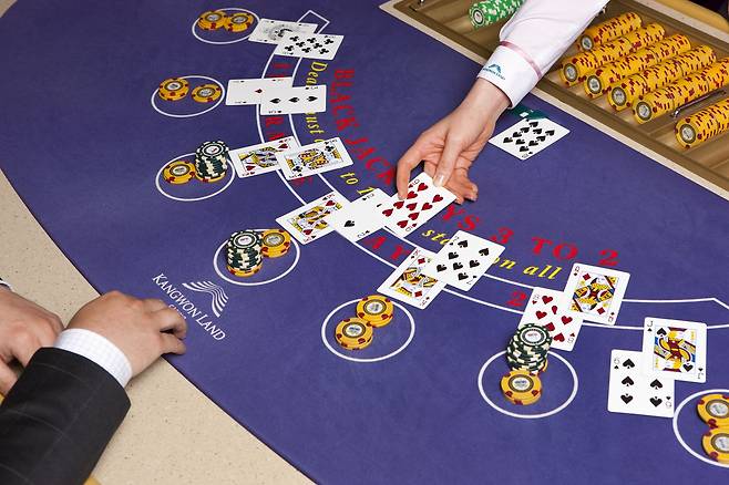 강원랜드 카지노 객장 사진 /강원랜드