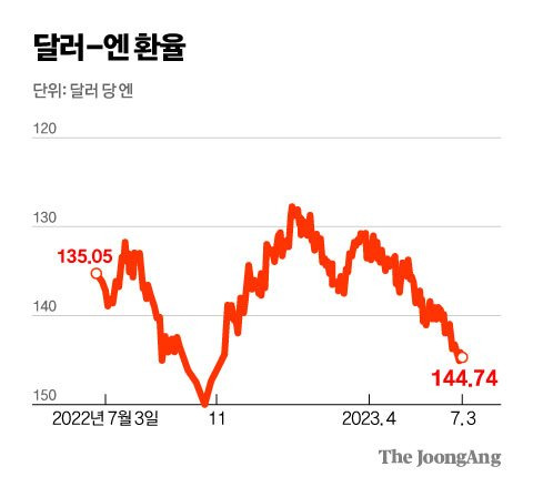 김영희 디자이너