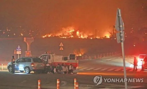 2019년 4월 발생한 강원 고성 산불 현장 주변 │연합뉴스