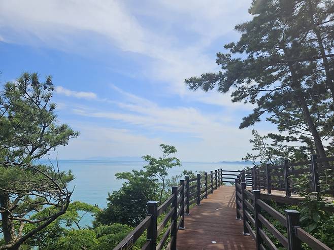 전남도 ‘여름철 걷고 싶은 숲길’로 선정된 완도 약산 해안 치유의 숲 전경./사진제공=완도군.