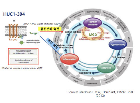 HUC1-394의 작용 기전. (사진=휴온스 제공)