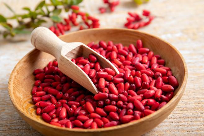 매자나무속에 해당하는 약 500종 식물 중 일부에서 추출되는 베르베린은 수세기 동안 아유르베다(인도전통의학)와 한의학에서 염증과 상처를 달래고, 변비와 치질을 치료하며 귀, 눈, 입, 소화관의 감염을 막아주는 약초로 쓰여 왔다. [사진= 게티이미지뱅크]