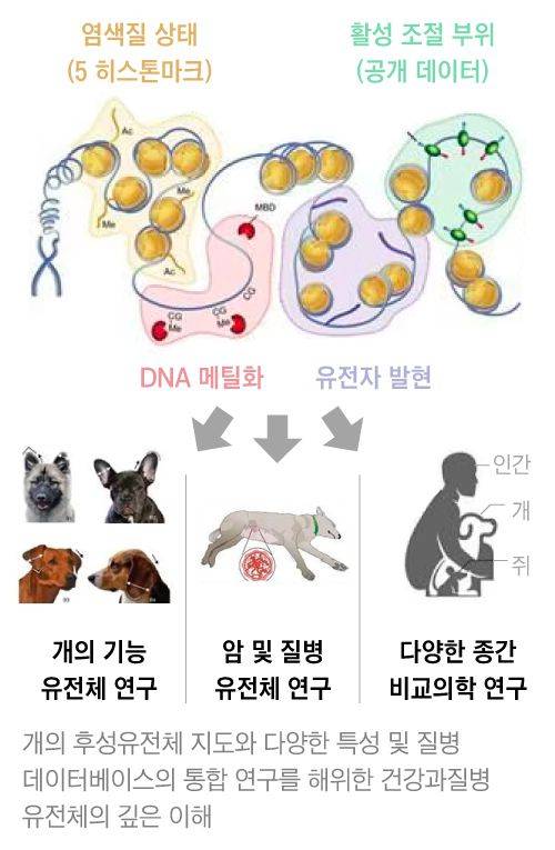 자료=과학기술정보통신부