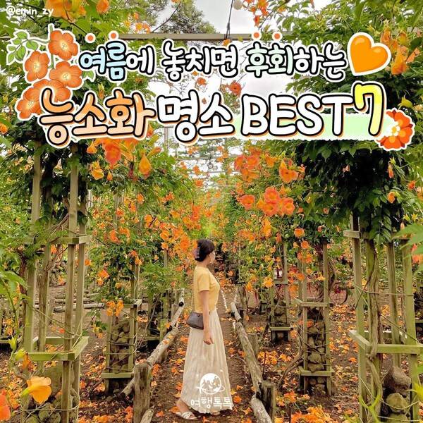 능소화 명소 추천 / @emin_zy&nbsp;