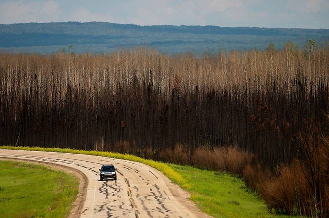 2023년 7월 4일 캐나다 앨버타주 이스트 프레리 메티스 정착촌에서 한 차량이 불에 탄 나무 숲 길을 지나가고 있다.AP 연합뉴스