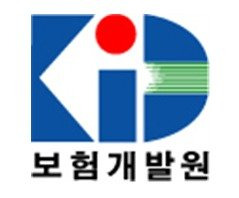 보험개발원 CI. 사진=뉴스1