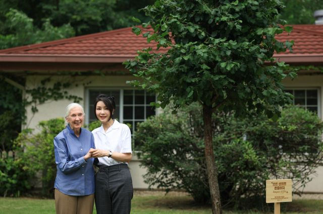 윤석열 대통령 부인 김건희 여사와 세계적인 영장류학자이자 환경운동가인 제인 구달 박사가 7일 서울 용산어린이정원 내 어린이 환경·생태 교육관 예정지에서 산사나무로 기념식수한 뒤 기념촬영을 하고 있다. 대통령실 제공