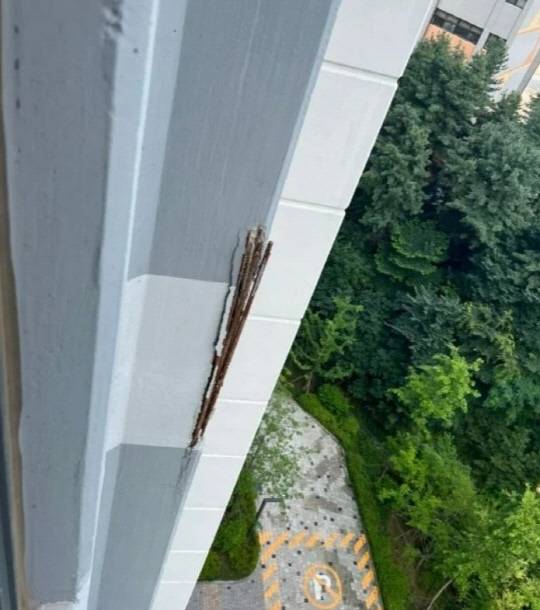 한 온라인 커뮤니티에 올라온 서울 강동구 상일동 '고덕롯데캐슬베네루체' 외벽에 철근이 튀어나온 사진