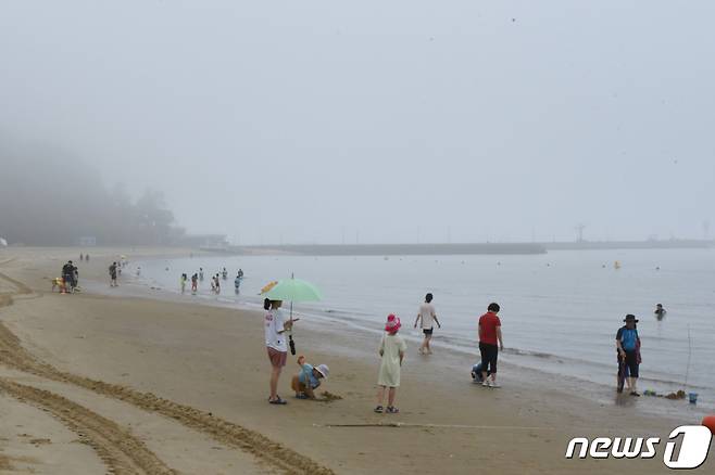 9일 오후 전남 보성율포솔밭해수욕장에서 피서객들이 물놀이를 즐기고 있다.2023.7.9/뉴스1 ⓒ News1 김동수 기자