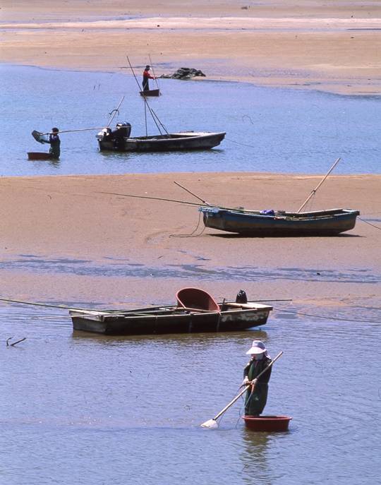 하동·광양 '섬진강 재첩잡이 손틀어업'이 세계중요농업유산(GIAHS)에 등재됐다. 우리나라 어업 분야에서 최초 등재다. / 출처: 경남 하동군