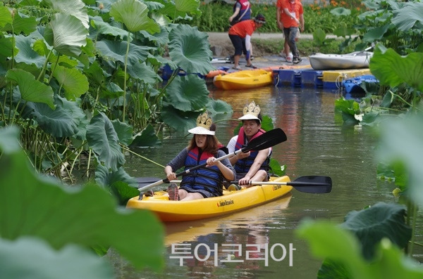 지난 부여서동연꽃축제 행사 모습