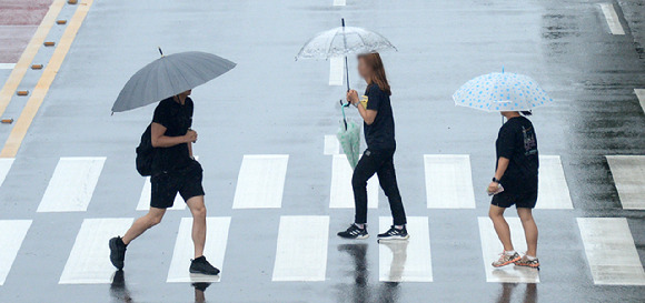 연일 장마가 이어지고 있는 지난 7일 전북 전주시 덕진구 견훤로에서 시민들이 우산으로 비를 피하며 횡단보도를 건너고 있다. [사진=뉴시스]