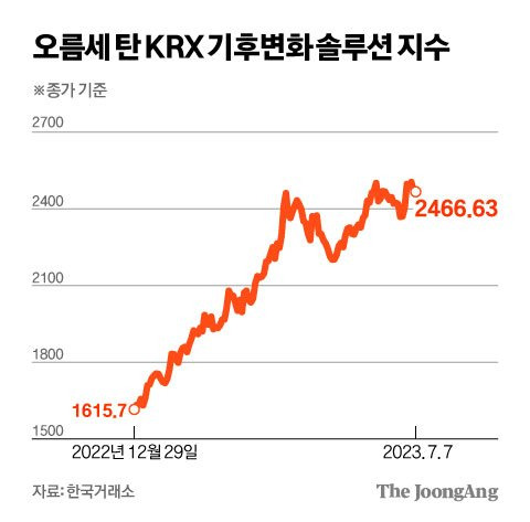 김영희 디자이너