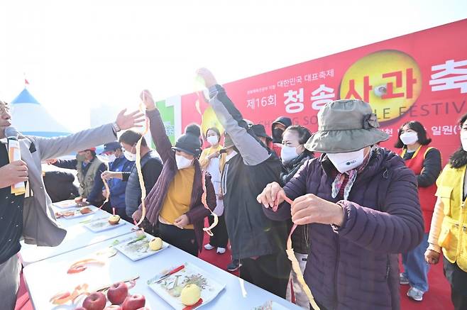 지난해 열린 제16회 청송사과축제 현장. 사진제공ㅣ청송군